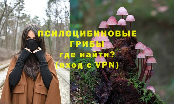 кокс Абаза