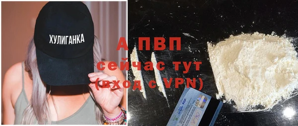 прущие грибы Кукмор