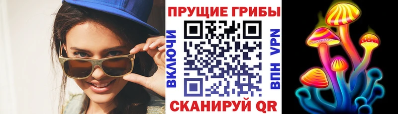 omg ссылки  Саратов  Галлюциногенные грибы прущие грибы 